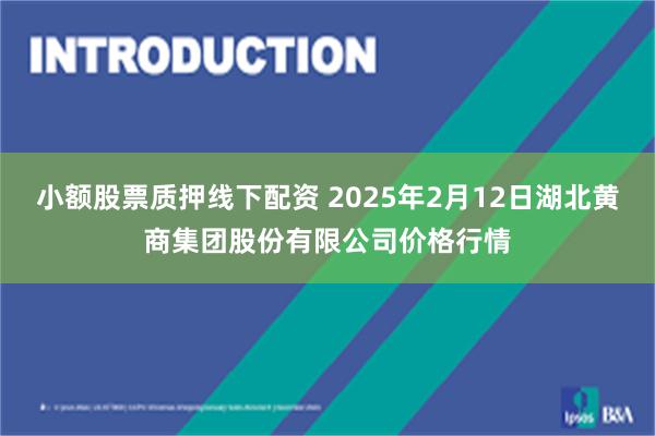 小额股票质押线下配资 2025年2月12日湖北黄商集团股份有限公司价格行情