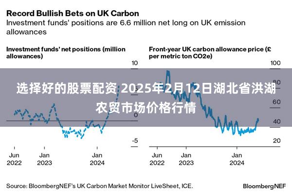 选择好的股票配资 2025年2月12日湖北省洪湖农贸市场价格行情