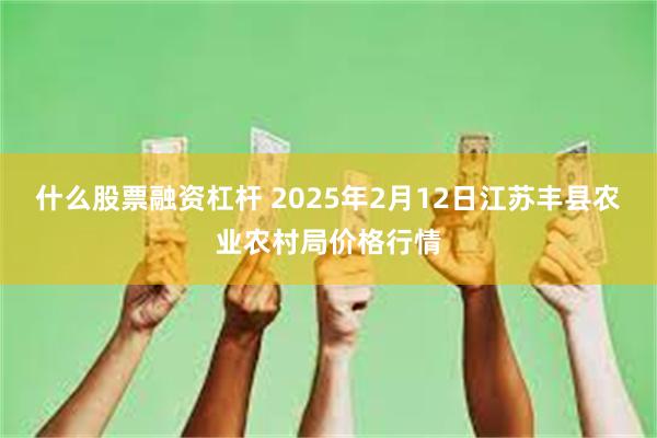 什么股票融资杠杆 2025年2月12日江苏丰县农业农村局价格行情