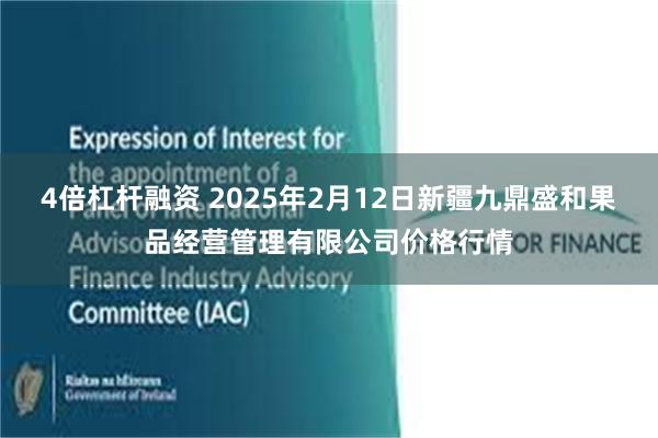 4倍杠杆融资 2025年2月12日新疆九鼎盛和果品经营管理有限公司价格行情