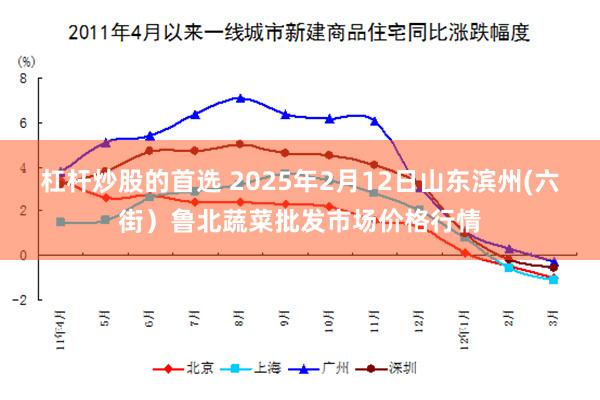 杠杆炒股的首选 2025年2月12日山东滨州(六街）鲁北蔬菜批发市场价格行情