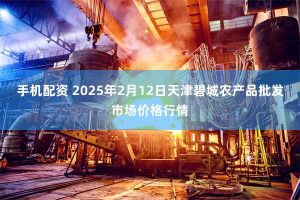 手机配资 2025年2月12日天津碧城农产品批发市场价格行情