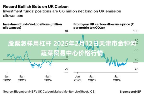 股票怎样用杠杆 2025年2月12日天津市金钟河蔬菜贸易中心价格行情