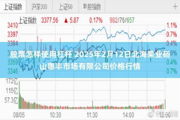 股票怎样使用杠杆 2025年2月12日北海果业砀山惠丰市场有限公司价格行情