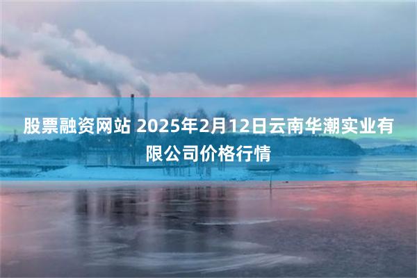 股票融资网站 2025年2月12日云南华潮实业有限公司价格行情