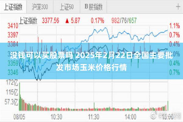 没钱可以买股票吗 2025年2月22日全国主要批发市场玉米价格行情